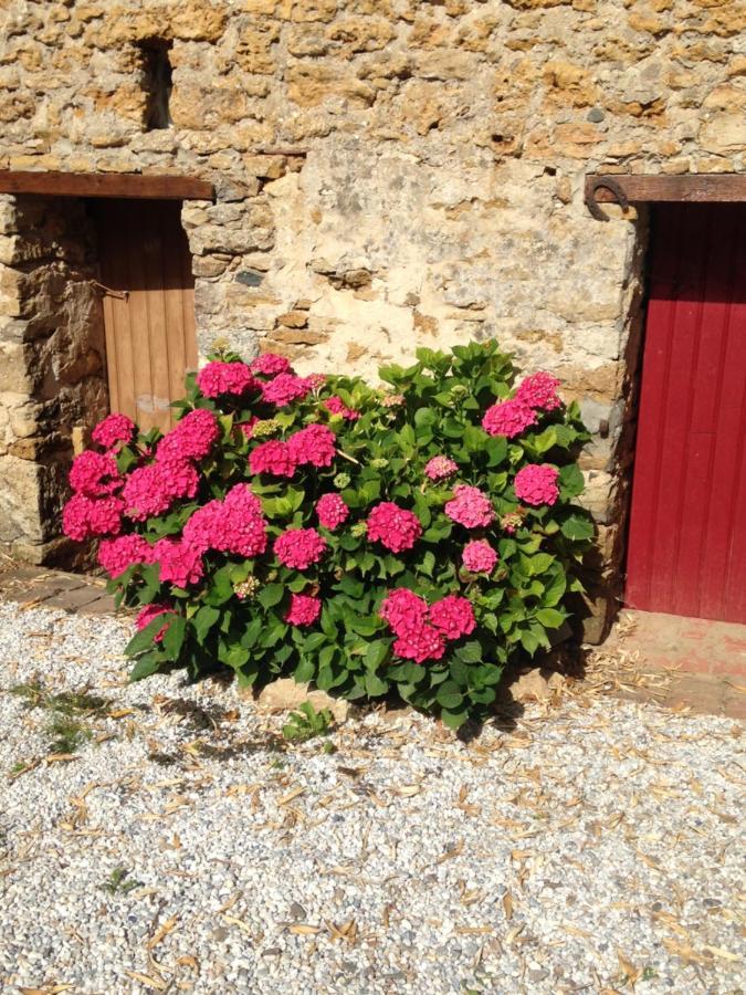 Le Clos De La Viniere Jard-sur-Mer Exteriér fotografie